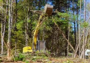 Used Forestry Excavators How Much Do You Know